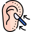 ear